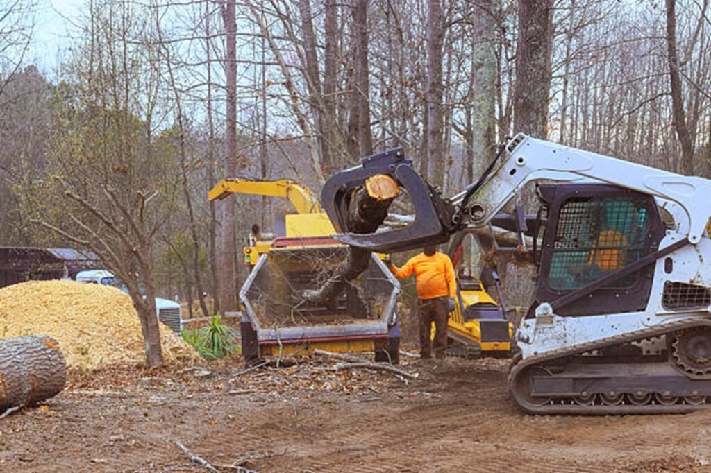 Residential property after professional tree removal with logs processed and the hazardous tree safely removed in Kirkwood, MO.