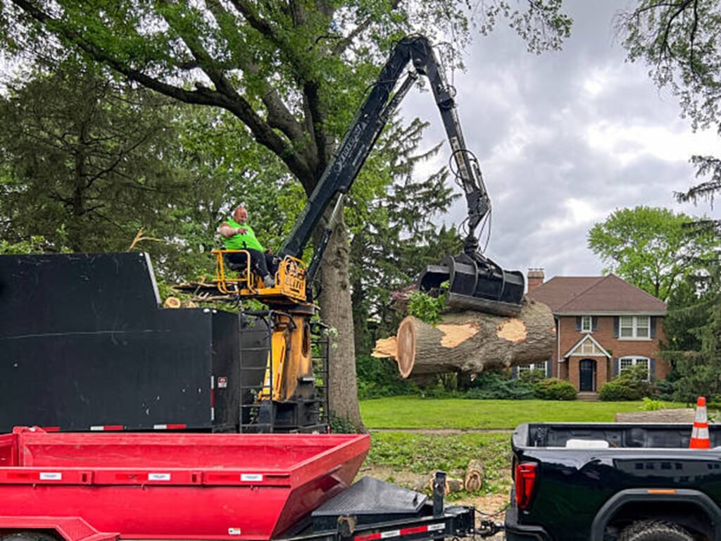 Professional tree removal crew using heavy equipment to safely lift and remove large tree sections during a residential tree removal project in Wildwood, MO.
