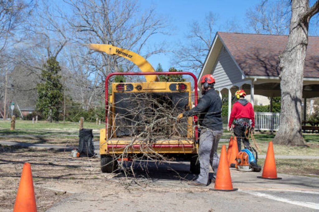 Kirkwood Tree Service crew loading tree branches into a wood chipper after completing a residential tree service project in Kirkwood, MO.