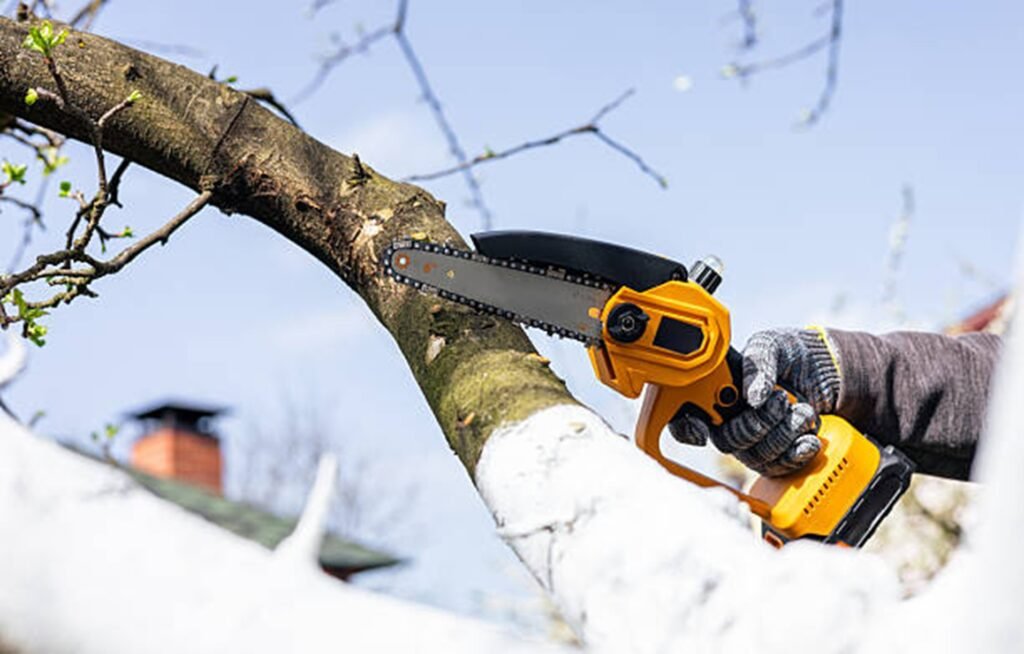 Professional tree trimming specialist pruning a large tree branch with a chainsaw to improve tree health and safety in Kirkwood, MO.
