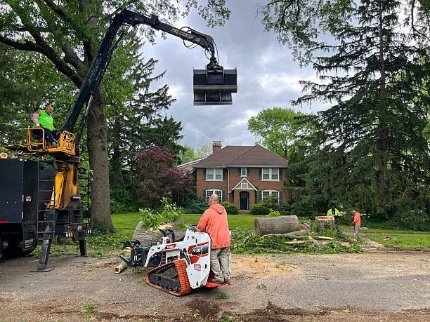 Professional tree care crew using heavy equipment to remove trimmed tree sections during a tree trimming and pruning project in Wildwood, MO.