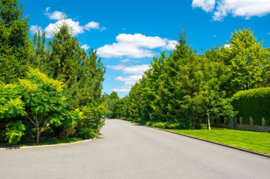 Beautiful tree-lined residential neighborhood representing the communities served by Kirkwood Tree Service throughout Kirkwood, MO.