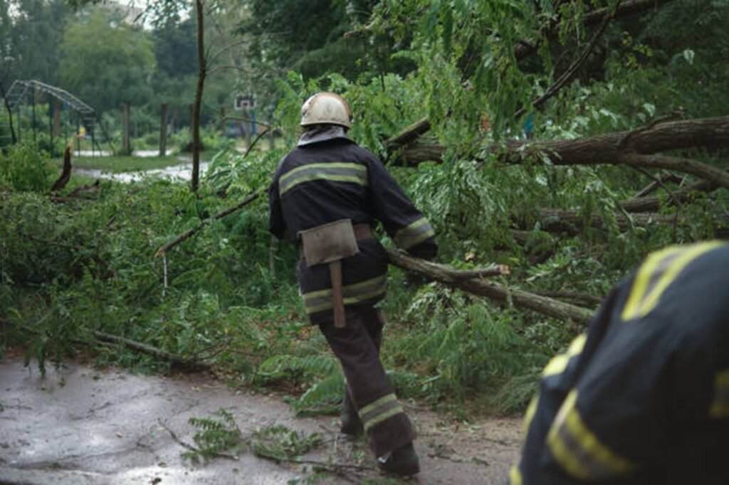 Professional crew clearing fallen trees and storm debris from a residential roadway during storm damage cleanup in Kirkwood, MO.