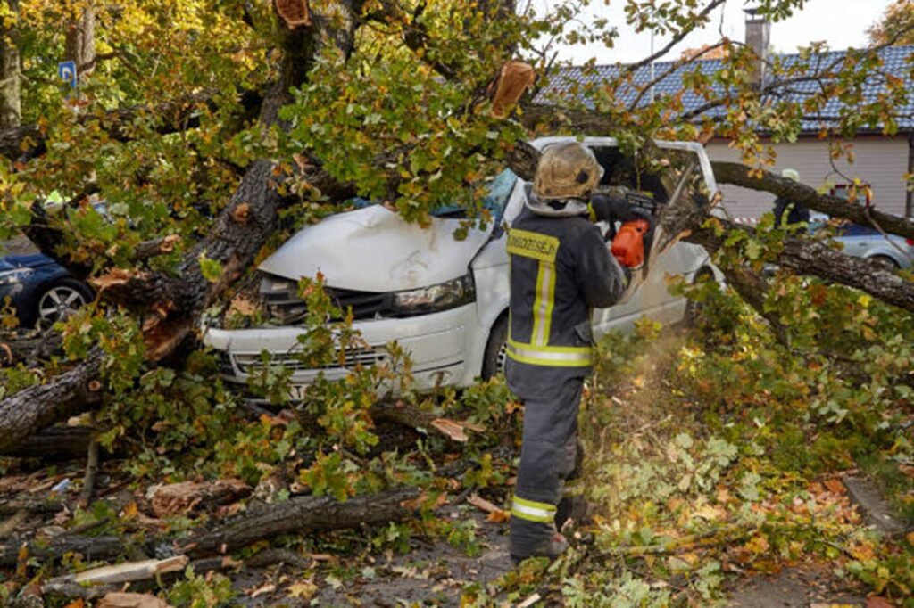 Emergency tree service crew removing a large fallen tree from a damaged vehicle after severe storm damage in Kirkwood, MO.