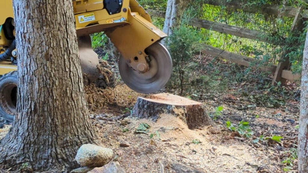 Commercial stump grinder removing a tree stump below ground level during professional stump grinding and removal service in Kirkwood, MO.