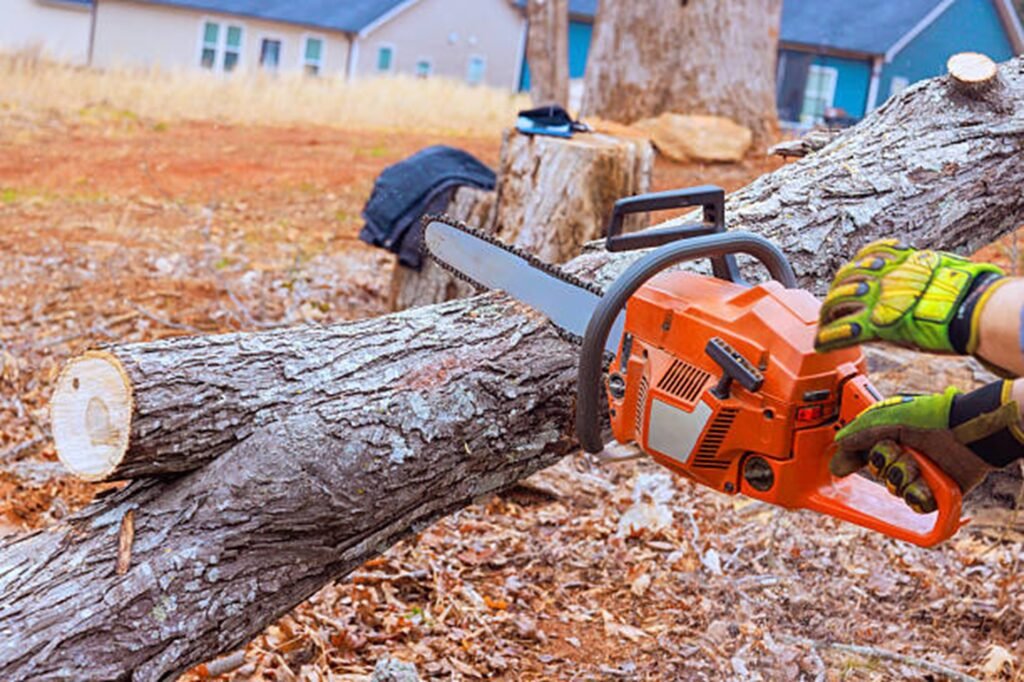 Professional chainsaw cutting through a fallen tree during emergency tree removal service at a residential property in Kirkwood, MO.