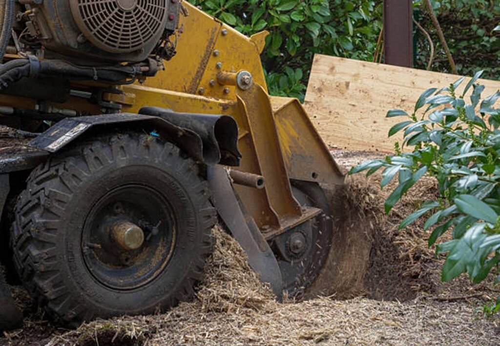 Professional stump grinding machine removing a tree stump from a residential yard during stump grinding and removal service in Kirkwood, MO.