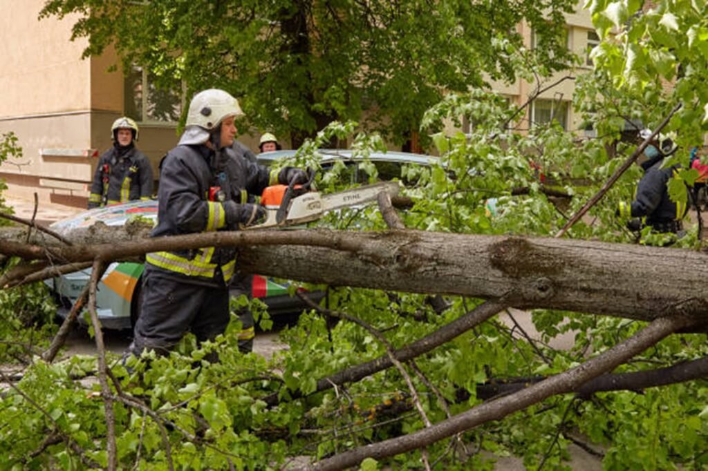Emergency tree service crew safely cutting and removing a fallen tree blocking a residential street in Kirkwood, MO after severe storm damage.