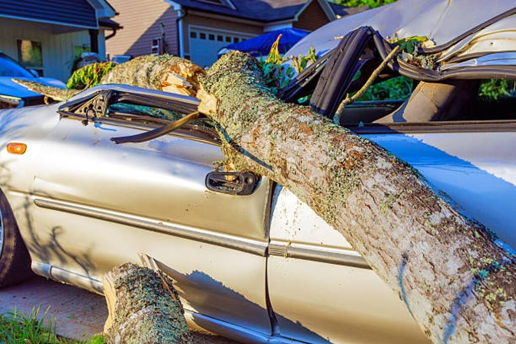 Large fallen tree crushing a parked vehicle after a severe storm, highlighting the need for professional storm damage cleanup in Kirkwood, MO.
